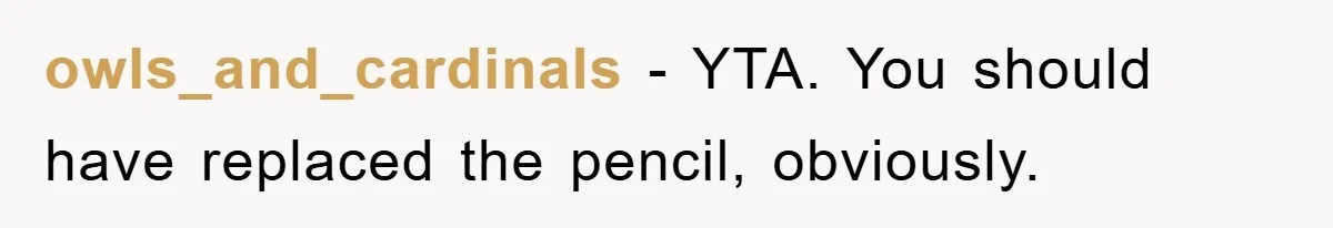 owls_and_cardinals − YTA. You should have replaced the pencil, obviously.