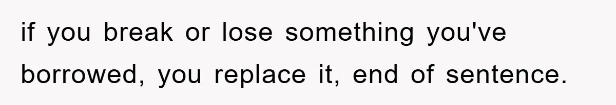 if you break or lose something you've borrowed, you replace it, end of sentence.