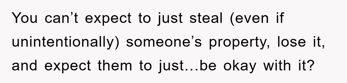 You can’t expect to just steal (even if unintentionally) someone’s property, lose it, and expect them to just…be okay with it?