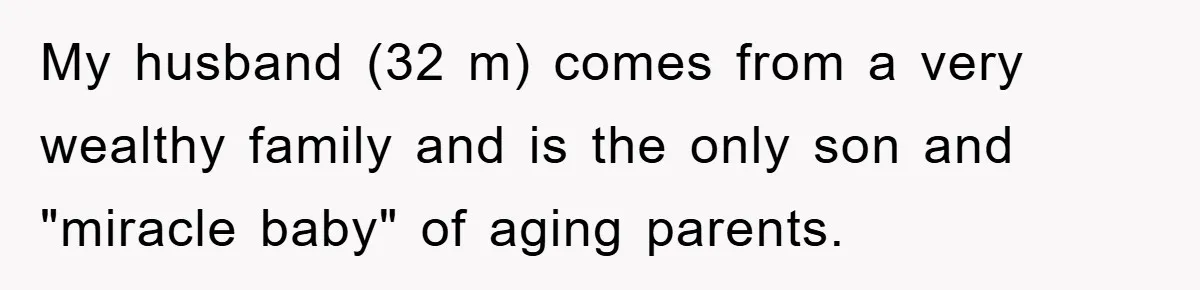 Woman’s Sister-In-Law Couldn’t Stop Making Snide Remarks, Until One Poolside Comment Went Too Far My husband (32 m) comes from a very wealthy family and is the only son and "miracle baby" of aging parents.