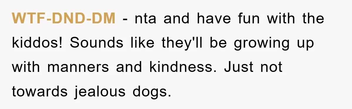 Woman’s Sister-In-Law Couldn’t Stop Making Snide Remarks, Until One Poolside Comment Went Too Far WTF-DND-DM − nta and have fun with the kiddos! Sounds like they'll be growing up with manners and kindness. Just not towards jealous dogs.