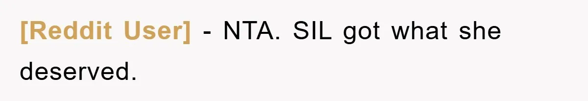 [Reddit User] − NTA. SIL got what she deserved.