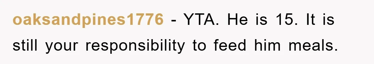 oaksandpines1776 − YTA. He is 15. It is still your responsibility to feed him meals.