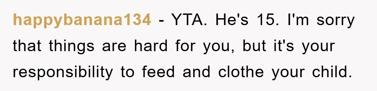 happybanana134 − YTA. He's 15. I'm sorry that things are hard for you, but it's your responsibility to feed and clothe your child.