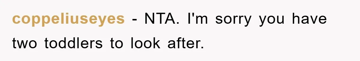 coppeliuseyes − NTA. I'm sorry you have two toddlers to look after.