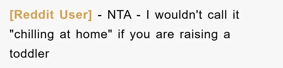 [Reddit User] − NTA - I wouldn't call it "chilling at home" if you are raising a toddler
