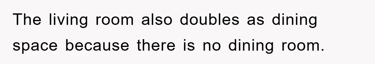 The living room also doubles as dining space because there is no dining room.