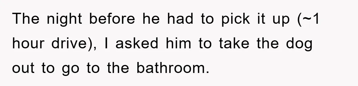 The night before he had to pick it up (~1 hour drive), I asked him to take the dog out to go to the bathroom.
