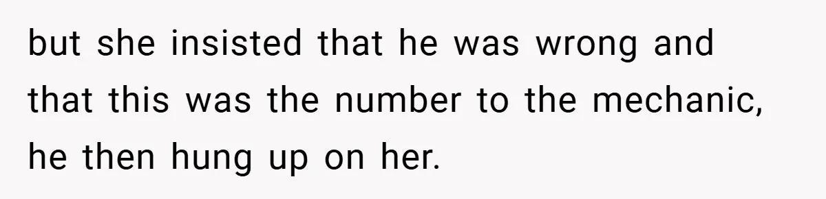 but she insisted that he was wrong and that this was the number to the mechanic, he then hung up on her.