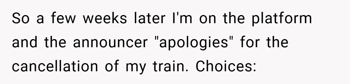 So a few weeks later I'm on the platform and the announcer "apologies" for the cancellation of my train. Choices:
