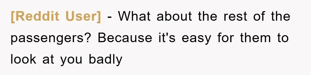 [Reddit User] − What about the rest of the passengers? Because it's easy for them to look at you badly