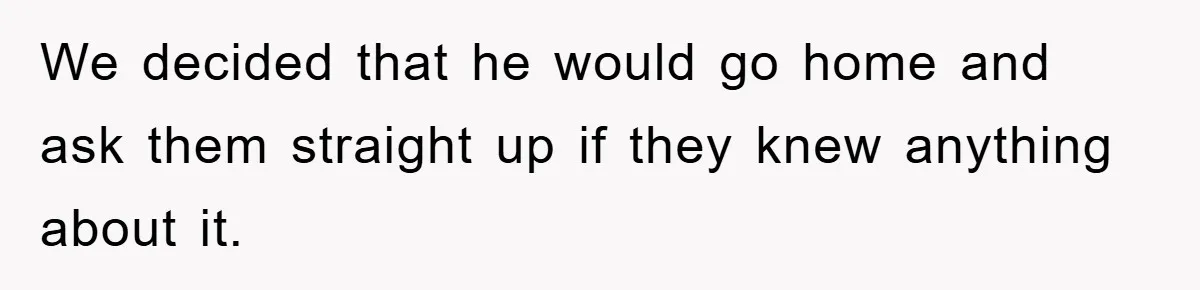 We decided that he would go home and ask them straight up if they knew anything about it.