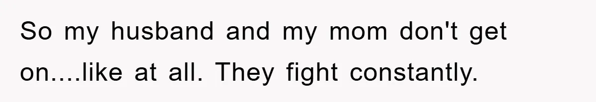 So my husband and my mom don't get on....like at all. They fight constantly.