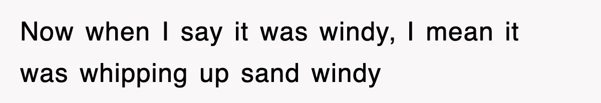 Now when I say it was windy, I mean it was whipping up sand windy