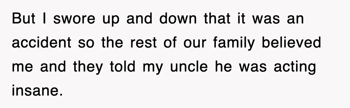 But I swore up and down that it was an accident so the rest of our family believed me and they told my uncle he was acting insane.