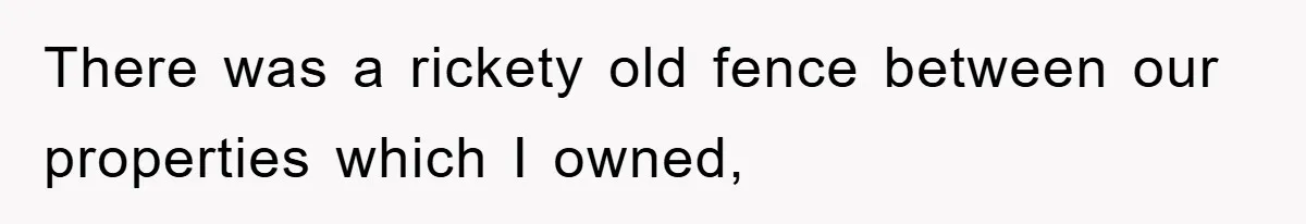 There was a rickety old fence between our properties which I owned,