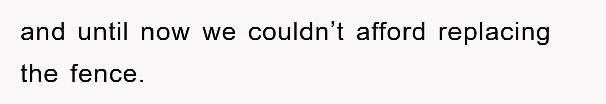 and until now we couldn’t afford replacing the fence.