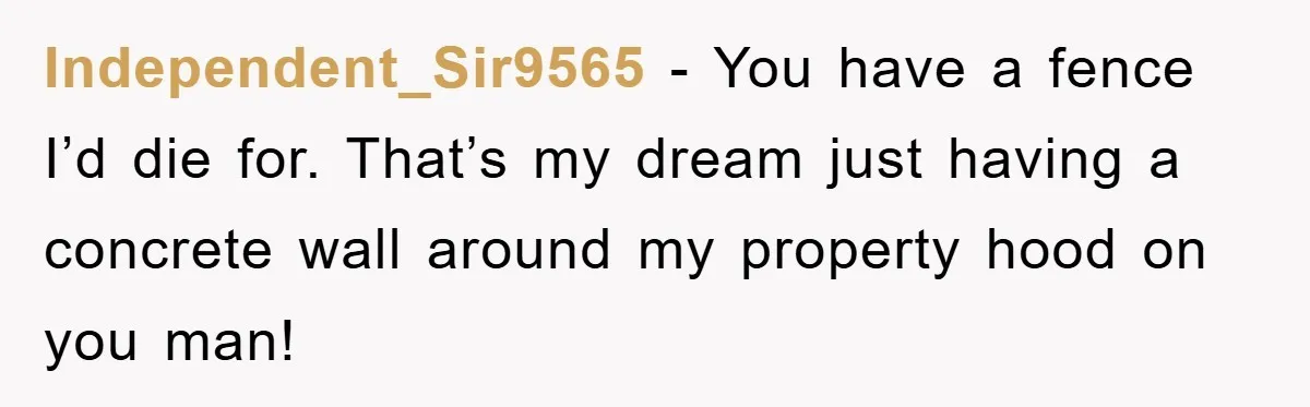 Independent_Sir9565 − You have a fence I’d die for. That’s my dream just having a concrete wall around my property hood on you man!