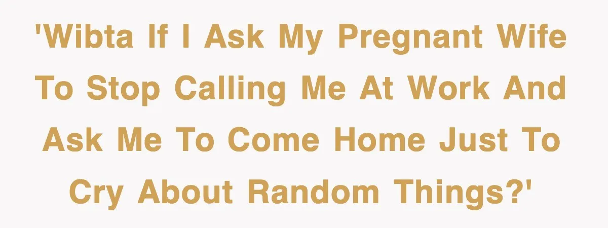 'WIBTA if I ask my pregnant wife to stop calling me at work and ask me to come home just to cry about random things?'