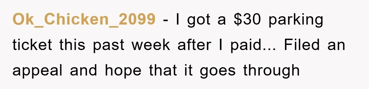 Ok_Chicken_2099 − I got a $30 parking ticket this past week after I paid... Filed an appeal and hope that it goes through