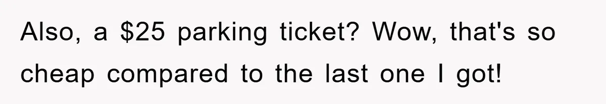 Also, a $25 parking ticket? Wow, that's so cheap compared to the last one I got!