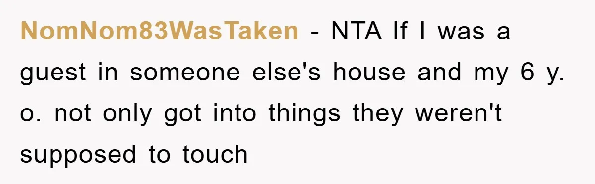 NomNom83WasTaken - NTA If I was a guest in someone else's house and my 6 y. o. not only got into things they weren't supposed to touch