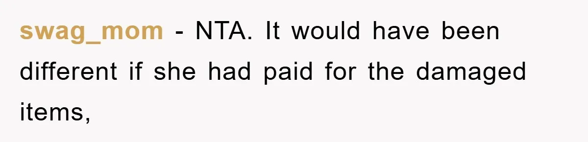 swag_mom - NTA. It would have been different if she had paid for the damaged items,