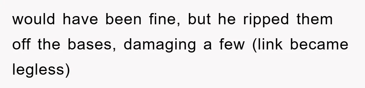 would have been fine, but he ripped them off the bases, damaging a few (link became legless)