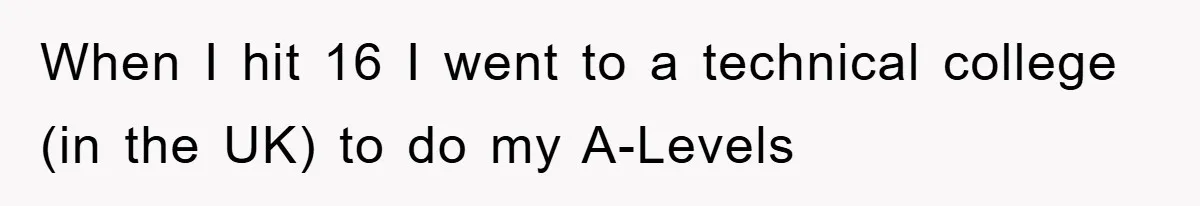 When I hit 16 I went to a technical college (in the UK) to do my A-Levels