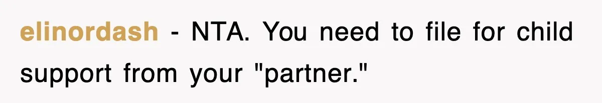 elinordash − NTA. You need to file for child support from your "partner."