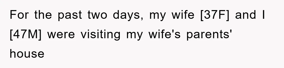 For the past two days, my wife [37F] and I [47M] were visiting my wife's parents' house