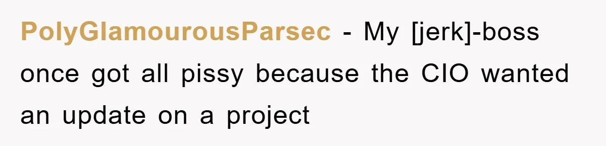 PolyGlamourousParsec - My [jerk]-boss once got all pissy because the CIO wanted an update on a project