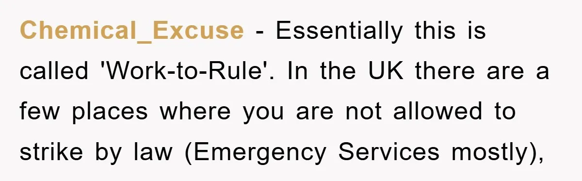 Chemical_Excuse - Essentially this is called 'Work-to-Rule'. In the UK there are a few places where you are not allowed to strike by law (Emergency Services mostly),