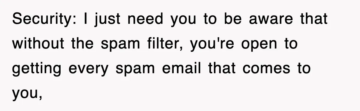 Security: I just need you to be aware that without the spam filter, you're open to getting every spam email that comes to you,