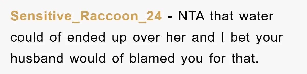 Sensitive_Raccoon_24 - NTA that water could of ended up over her and I bet your husband would of blamed you for that.