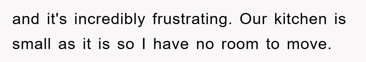 and it's incredibly frustrating. Our kitchen is small as it is so I have no room to move.