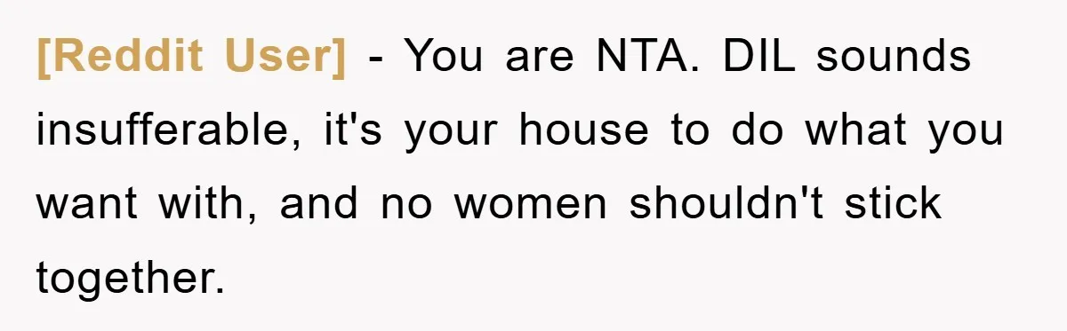 [Reddit User] - You are NTA. DIL sounds insufferable, it's your house to do what you want with, and no women shouldn't stick together.