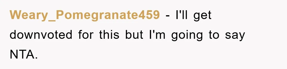 Weary_Pomegranate459 − I'll get downvoted for this but I'm going to say NTA.