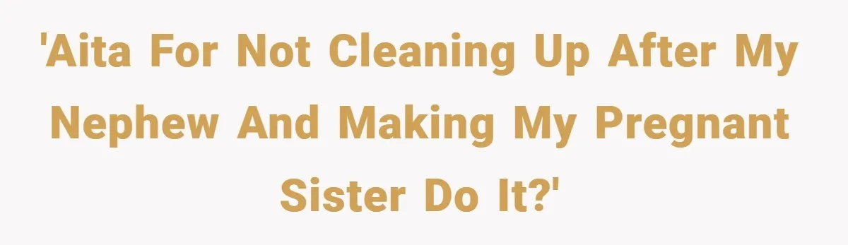 Pregnant Sister Calls Her Sibling Heartless After Being Told To Clean Up Her Own Son’s Bathroom Chaos 'AITA for not cleaning up after my nephew and making my pregnant sister do it?'