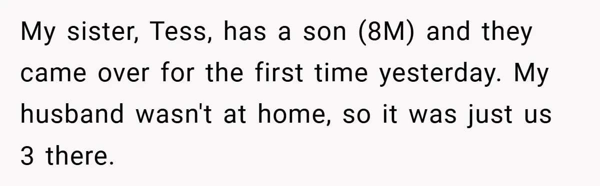 Pregnant Sister Calls Her Sibling Heartless After Being Told To Clean Up Her Own Son’s Bathroom Chaos My sister, Tess, has a son (8M) and they came over for the first time yesterday. My husband wasn't at home, so it was just us 3 there.