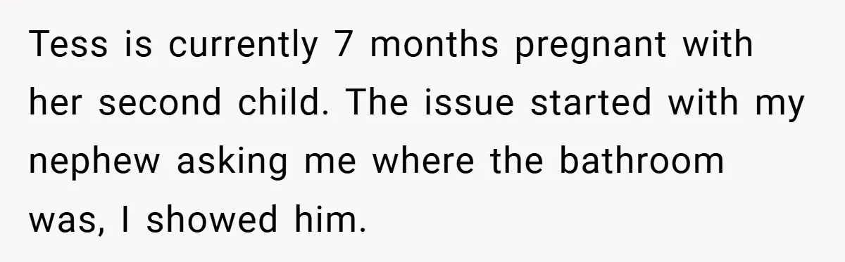 Pregnant Sister Calls Her Sibling Heartless After Being Told To Clean Up Her Own Son’s Bathroom Chaos Tess is currently 7 months pregnant with her second child. The issue started with my nephew asking me where the bathroom was, I showed him.