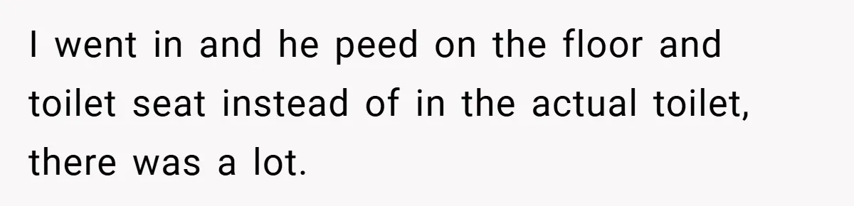 Pregnant Sister Calls Her Sibling Heartless After Being Told To Clean Up Her Own Son’s Bathroom Chaos I went in and he peed on the floor and toilet seat instead of in the actual toilet, there was a lot.