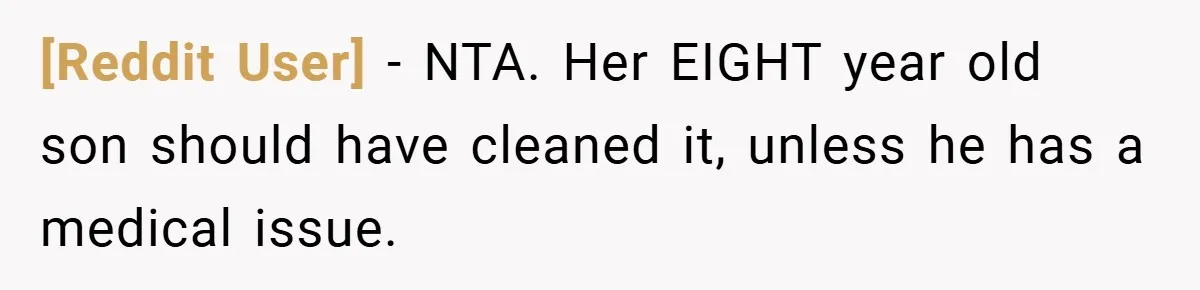 [Reddit User] − NTA. Her EIGHT year old son should have cleaned it, unless he has a medical issue.