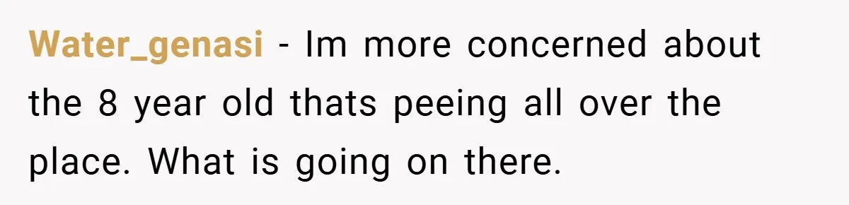 Pregnant Sister Calls Her Sibling Heartless After Being Told To Clean Up Her Own Son’s Bathroom Chaos Water_genasi − Im more concerned about the 8 year old thats peeing all over the place. What is going on there.