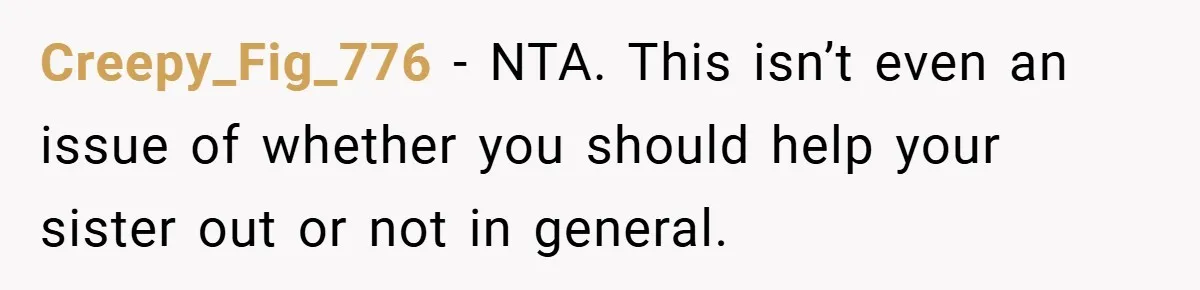 Pregnant Sister Calls Her Sibling Heartless After Being Told To Clean Up Her Own Son’s Bathroom Chaos Creepy_Fig_776 − NTA. This isn’t even an issue of whether you should help your sister out or not in general.