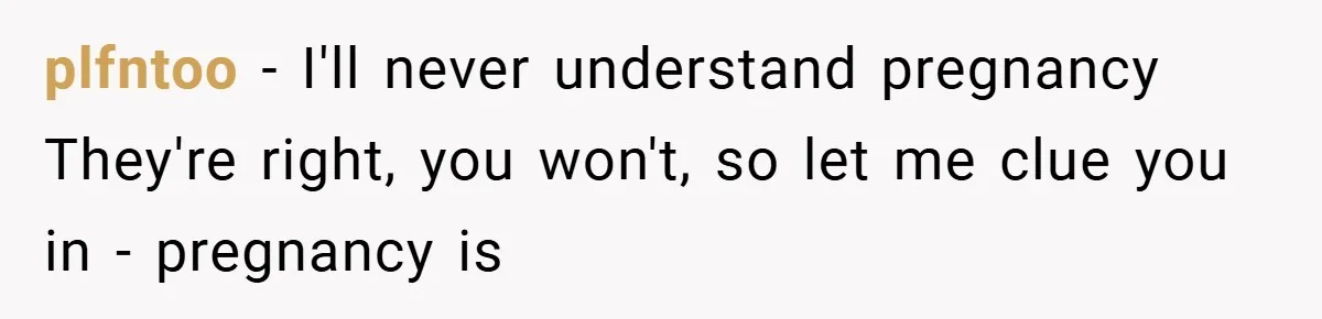Pregnant Sister Calls Her Sibling Heartless After Being Told To Clean Up Her Own Son’s Bathroom Chaos plfntoo − I'll never understand pregnancy They're right, you won't, so let me clue you in - pregnancy is
