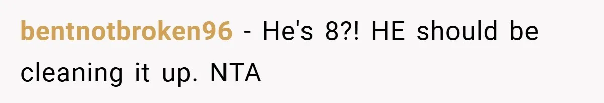 Pregnant Sister Calls Her Sibling Heartless After Being Told To Clean Up Her Own Son’s Bathroom Chaos bentnotbroken96 − He's 8?! HE should be cleaning it up. NTA