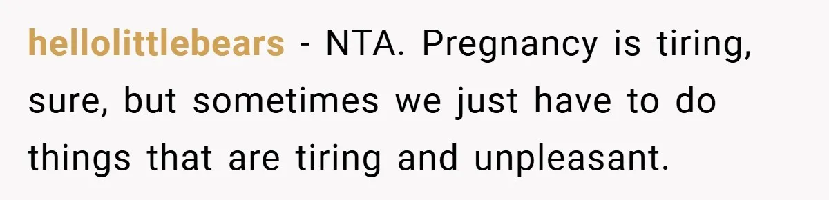 Pregnant Sister Calls Her Sibling Heartless After Being Told To Clean Up Her Own Son’s Bathroom Chaos hellolittlebears - NTA. Pregnancy is tiring, sure, but sometimes we just have to do things that are tiring and unpleasant.