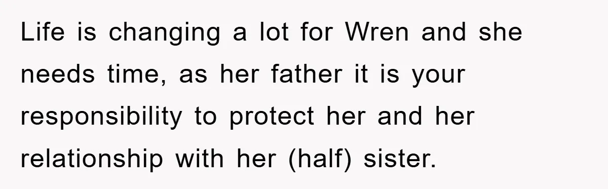 Life is changing a lot for Wren and she needs time, as her father it is your responsibility to protect her and her relationship with her (half) sister.