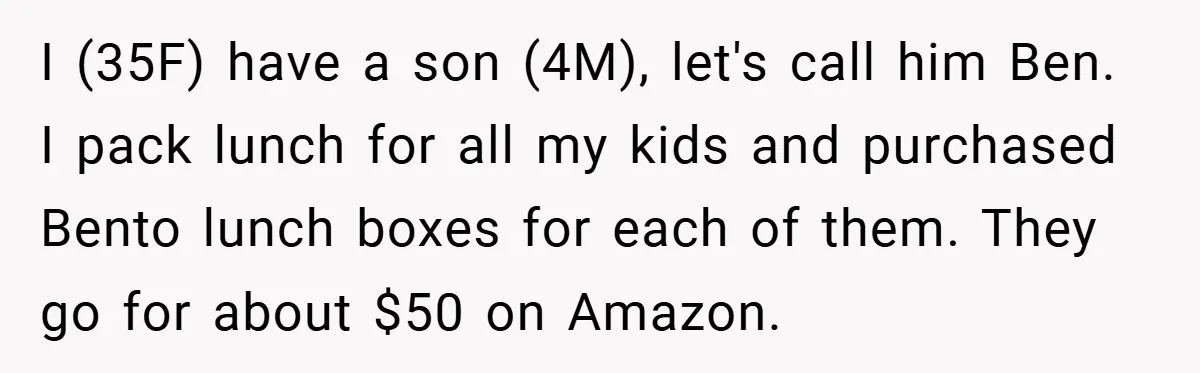 I (35F) have a son (4M), let's call him Ben. I pack lunch for all my kids and purchased Bento lunch boxes for each of them. They go for about...
